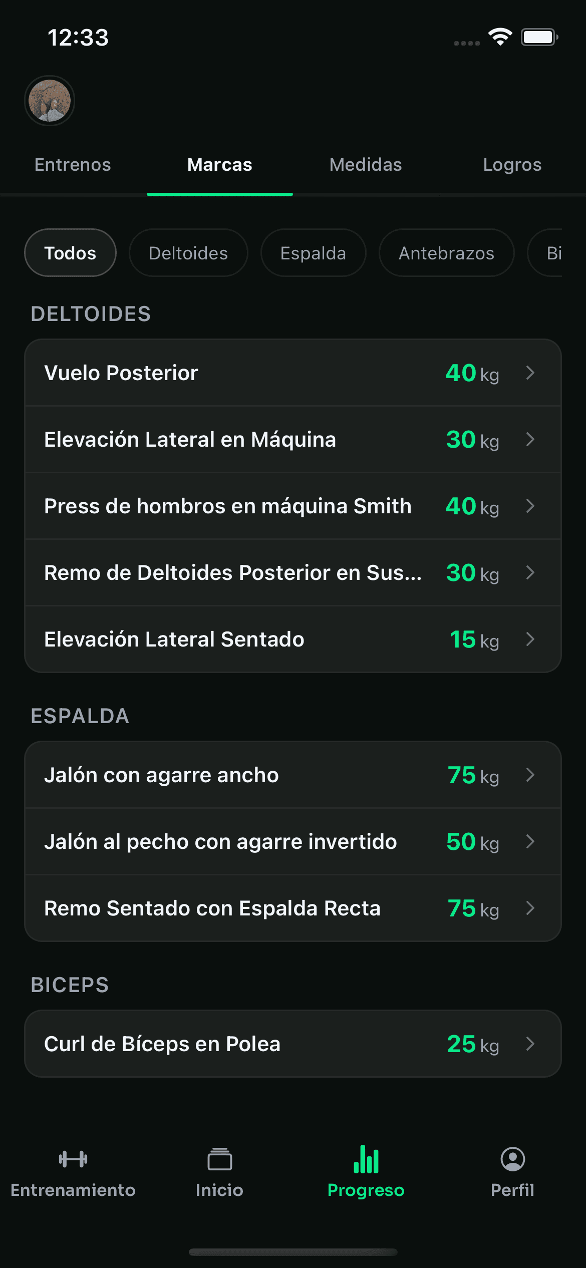 Progreso de ejercicio en Fierro